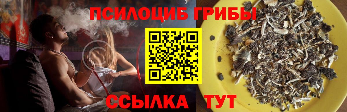 Галлюциногенные грибы GOLDEN TEACHER Вольск